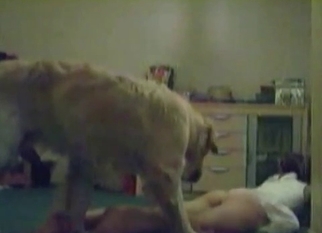 Sexy doggy and zoophilic slut
