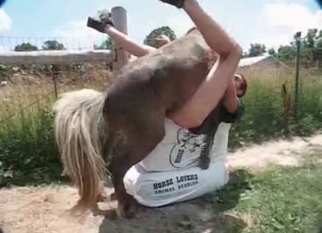 Zoophile adores bestiality anal sex