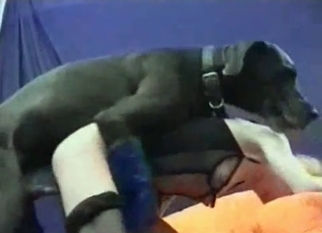 Dirty whore gets impaled by dog from behind