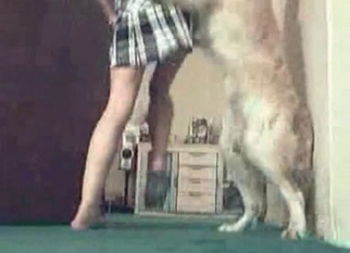 Animal hardly bangs a filthy zoophil slut