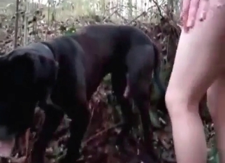 Brutal bestiality sex with my lovely animal