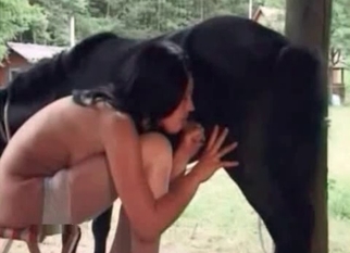 Pony and sexy zoophilic slut enjoy bestiality