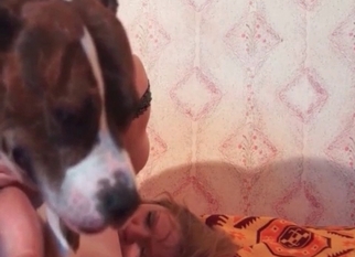 Sexy pet and dog fucker in homemade bestiality