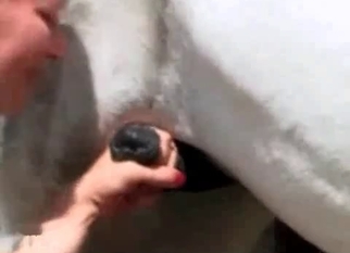 Sexy blonde and colt have sex