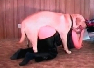 Doggy hardly penetrated a tight twat