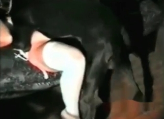 Sexy owner and a hardcore black dog