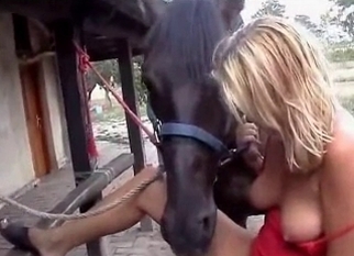 Blonde and sexy filly in farm bestiality action