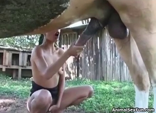 Horse gets nicely sucked by a zoophile