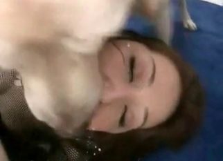 Doggy creams Asian pussy during bestiality intercourse