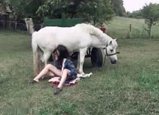 White stallion enjoys dirty oral sex