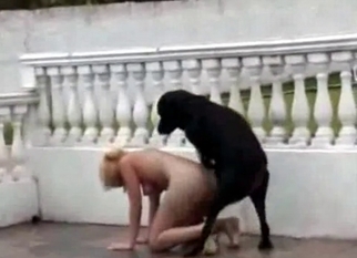 Dog sex in the garden with a crazy zoophile