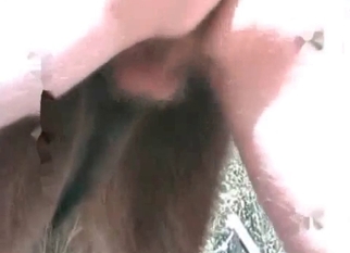 Trained horse enjoys hardcore anal sex