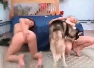 Rimjob by a doggy