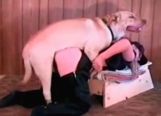 Pussy licked by a trained doggy