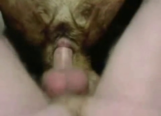 Male dick disappears in a tight doggy anus