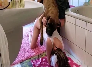 Wife and her retriever fuck in doggy pose