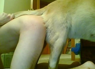 Amazing ass to ass fuck with Labrador
