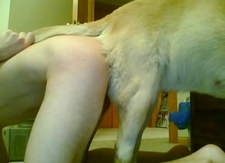 Amazing ass to ass fuck with Labrador