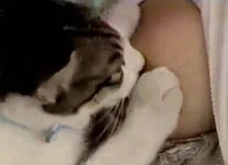 Cute kitty sucks my hard milky nipples