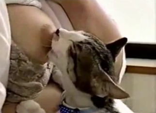 Cute kitty sucks my hard milky nipples