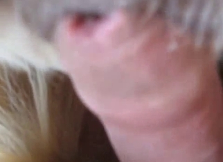 Slowly shoving my cock in tight dog anus