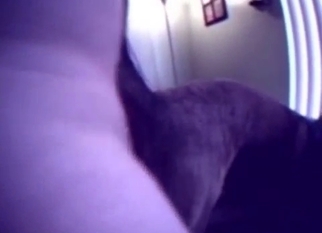 Nice retriever licks my loaded hard boner
