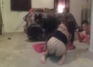Doggy style bestiality fuck with my pet
