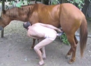 Skinny male is trying to bang with stallion