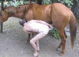 Skinny male is trying to bang with stallion