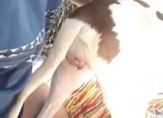 Incredible action with a doggo