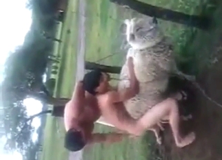 Sheep zoo sex with a sexy animal just taking it