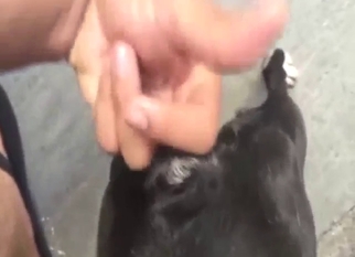 Crazy zoo XXX showing a black beast fingered