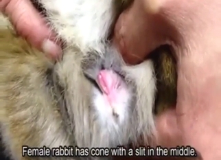 Impressive zoo sex with the best close-ups