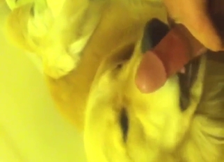 Hot bestiality porn shows a dick getting licked