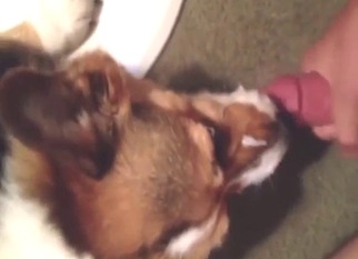 Beast loves jizz in a POV scene with lotsa licking