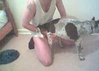 Small cock nicely licked by dog