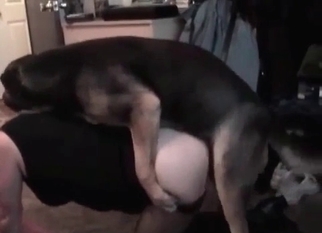 Animal sex with lusty amateur zoophiles