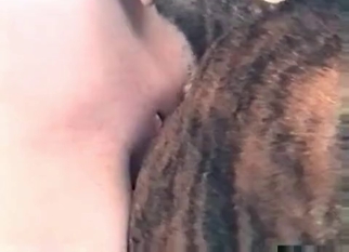 Shaved pussy hardly impaled by the dog