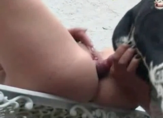 Tight anal hole gets banged by the doggy