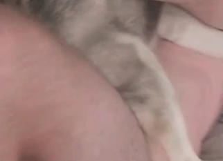 Dog and my hubby are enjoying bestiality sex