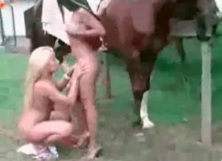 Stallion and two slutty bitches