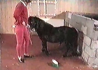 Horse and zoophile in the awesome bestiality XXX