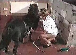 Horse and zoophile in the awesome bestiality XXX