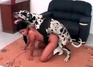 Asian pussy drilled by a very big doggy