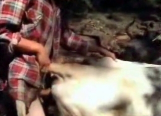 Anal sex in bestiality style