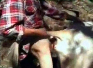 Anal sex in bestiality style