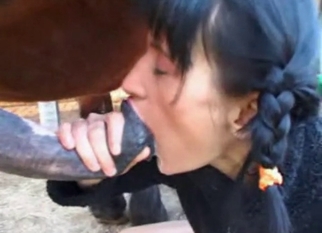 Hard dick sucked by a doggy