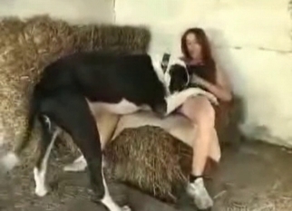 Doggy and slutty zoophile enjoy sex