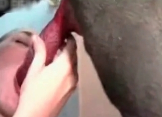 Sexy animal gets sucked by Asian zoophile